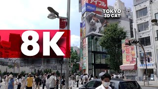 Tokyo's 3D CAT in 8K | Shinjuku Street View
