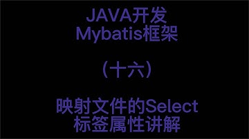 JAVA开发之Mybatis框架映射文件的Select标签属性讲解16