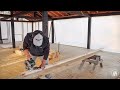 S2 EP76 | TIMBER FRAME CABIN, WOODWORK, EXTERIOR WALLS ALMOST DONE