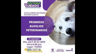 PRIMEROS AUXILIOS VETERINARIOS screenshot 2
