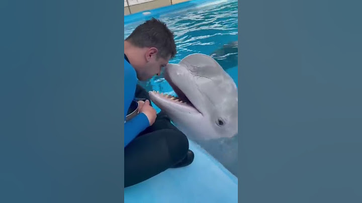 fish | fish video | dolphin fish | machhali | dolphin video | machi | मछली 🐬🐟 #dolphin #fish #shorts