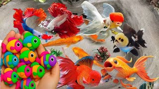 October Fall Morning & Cozy Coffe Shop 🍂 Warm Piano Jazz Instrumental Music For Working, Good Mood