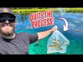 These Fish Weren’t Easy to Get (Stocking Grass Carp in the Pond!)