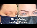 18 Day  Microblading HEALING review