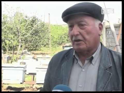 კოოპერატივების შექმნას  მეფუტკრე ფერმერები დადებითად აფასებენ