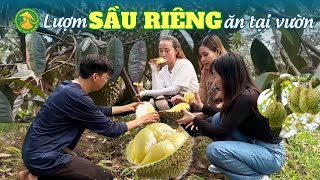 Hành trình về quê ăn lễ 30/4-1/5 P cuối| Ghé vườn Sầu Riêng chín tìm sầu riêng chín rụng ăn tại vườn