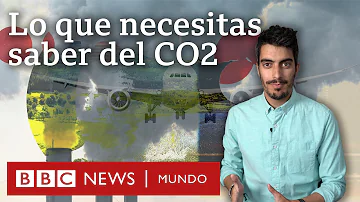 ¿Qué órgano elimina el CO2?