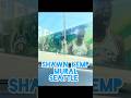 Shawn Kemp Mural Tour In Seattle Washington