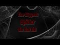 Don’t Watch This Video If You Don’t Like Spiders!! #Spiders #Info #BiggestOnEarth