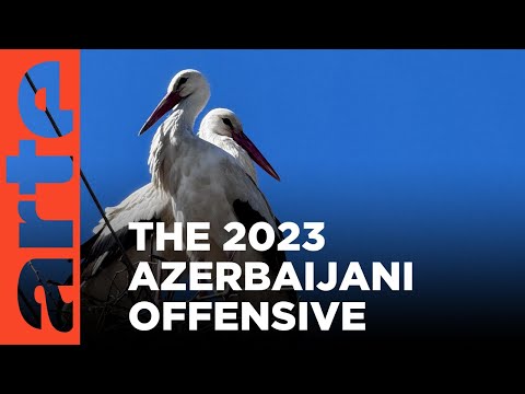 قره باغ کوهستانی چگونه لک لک ها پرواز می کنند مستند  