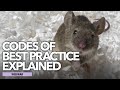 Pest management codes of best practice explained