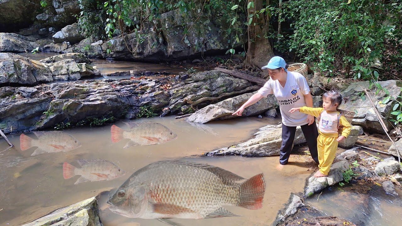 Mother and daughter go into the forest to catch shrimp - meet a HUGE ...