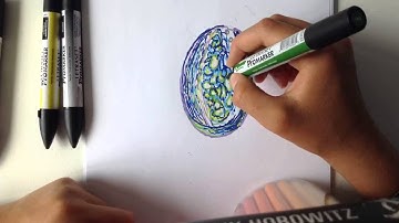 Paua shell drawing with promarkers