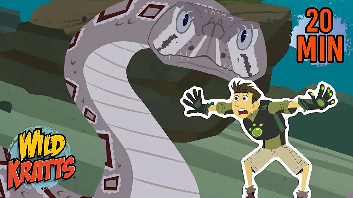 Rattlesnake Crystal Attack | Creature Facts | Wild Kratts