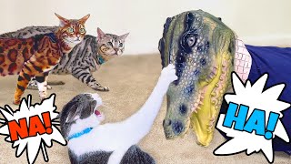 Cats Pranked By Crocodile Mask!