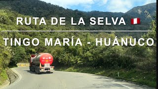 Saliendo de Tingo María por el Túnel de Carpish (2707m.s.n.m) #selvaperuana #perú #mountains #iphone