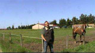 Ecole de voltige Diego N Co