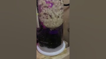 Recirculating BioPellet Reactor DIY