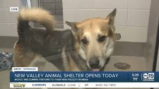 Maricopa County Animal Care and Control opens new Mesa animal shelter Thursday