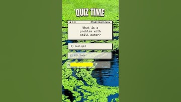 What Is a Problem with Still Water? 🚫 #hydroponicway #hydroponics #shorts #quiz #quiztime #gardening