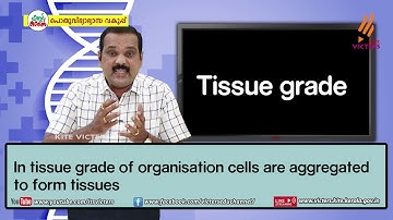 KITE VICTERS Plus one Zoology Class 05 (First Bell-ഫസ്റ്റ് ബെല്‍)