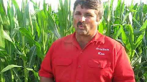 How Are the Corn College Plots Different from Farm Journals Test Plots?