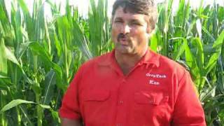How Are the Corn College Plots Different from Farm Journals Test Plots