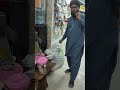 Pure Mustard Oil