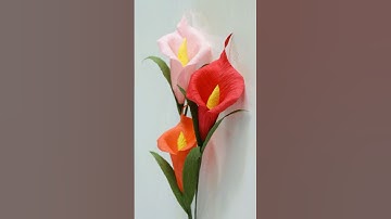 Calla Lily Flower Making With Crepe Paper - How To Make Calla Lily Paper Flower Step By Step