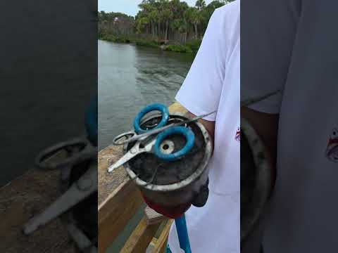 MAGNET FISHING AND CLEANING THE WATERWAYS #magnetfishing #shortsfeed #fishing