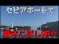 セピアボートで『撒きこぼし釣り』やって来ました!