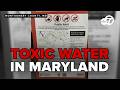 🔴 LIVE | High levels of 'Forever Chemicals' found in Maryland streams