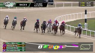 January 15, 2025   Race 8