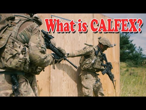 What does CALFEX