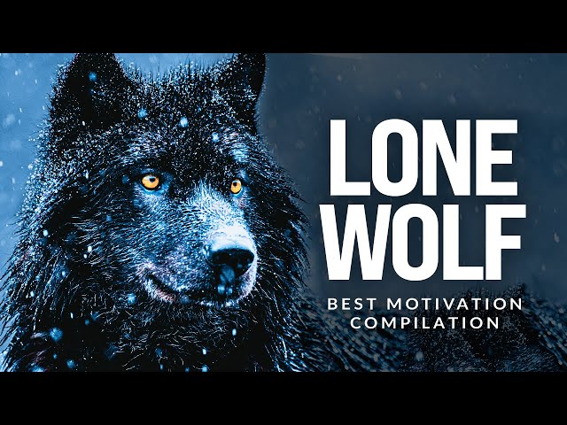 LONE WOLF - Best Motivational Speech Compilation For Those Who Walk Alone class=