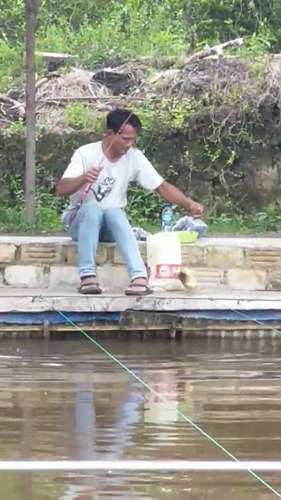 mancing#shortsvideo #ojy #fishing