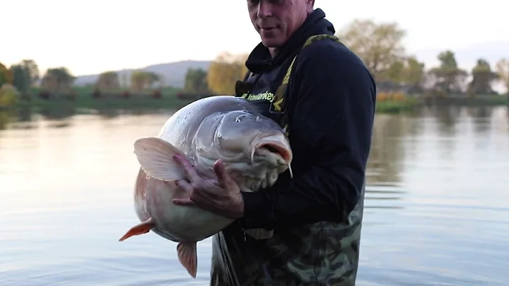 Euro Aqua. Dave Levys carp fishing trip of a life ...