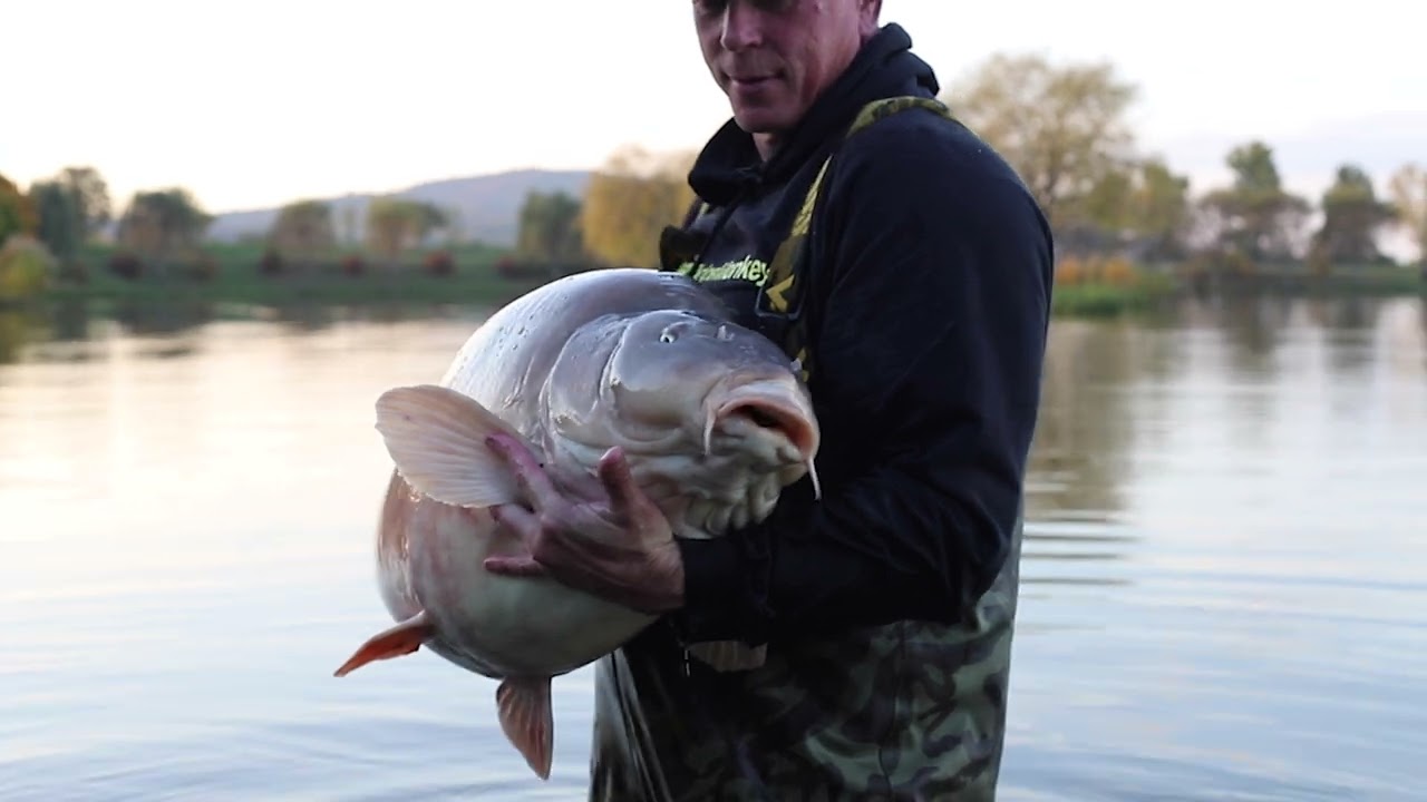 Euro Aqua. Dave Levys carp fishing trip of a life time.