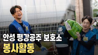 블루엔젤 봉사단 안성 평강공주 보호소 봉사활동. (feat. 쯔위, 정연, 안혜경, 루나....)