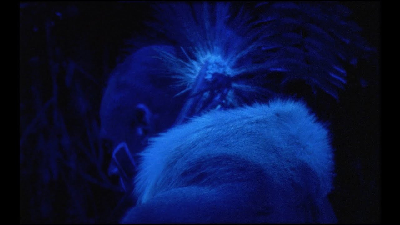 Medicine Singers - Sunrise (Rumble) ft. Yonatan Gat (Official Video)