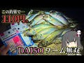 アジが爆湧きしてる堤防にDAISOワームを投げると…!?