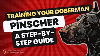 Training Your Doberman Pinscher for Agility: A StepbyStep Guide