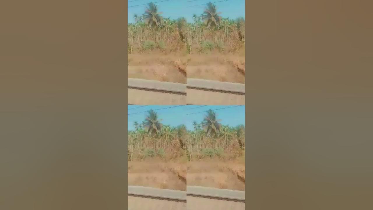 Train journey Bangalore to Davanagere, it's amazing to see...🚆🚊🚉