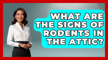 What Are The Signs Of Rodents In The Attic? - Insects and Invaders