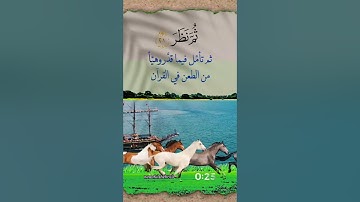 سورة المدثر من ١٦-٢٥ الحذيفي