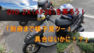 ばぶおいまい mqdefault.jpg