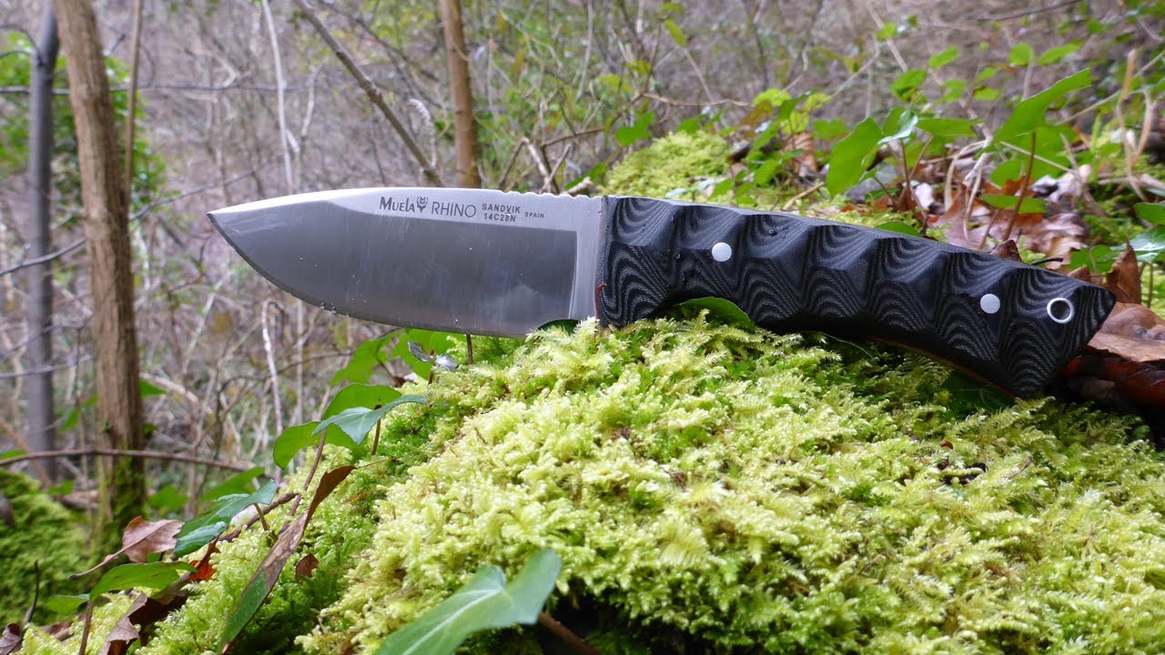 Muela Rhino Bushcraft Knife in 14C28N Sandvik Alloy YouTube