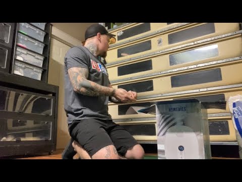 Burmese Python breeding update & snake room supplies - YouTube