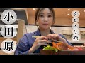 【40代独女】〜日帰り満足の小田原ゆる旅〜〈お店で1番高い海鮮丼が…〉