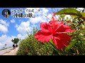 【おやすみミルクボーイ】沖縄の歌／ミルクボーイ公式